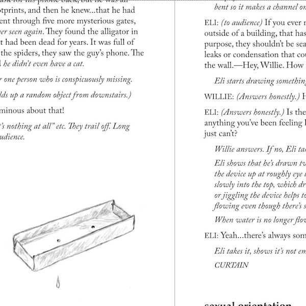 excerpt